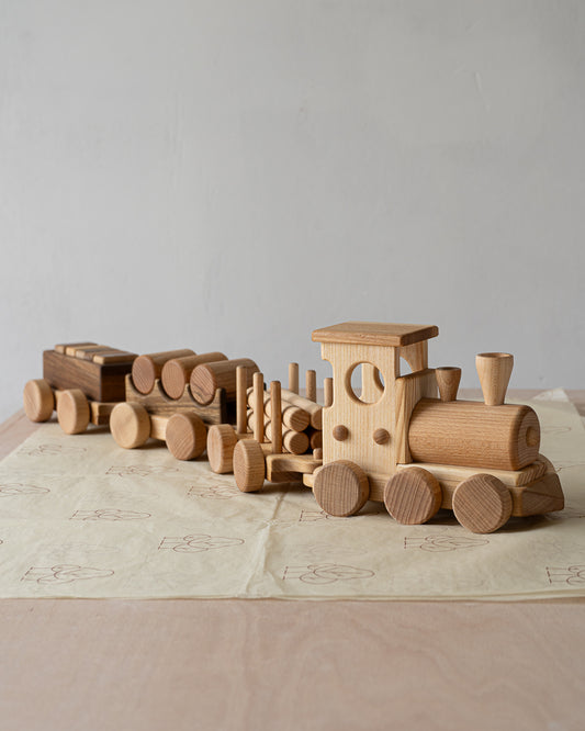 Classic Train and Wooden Building Blocks