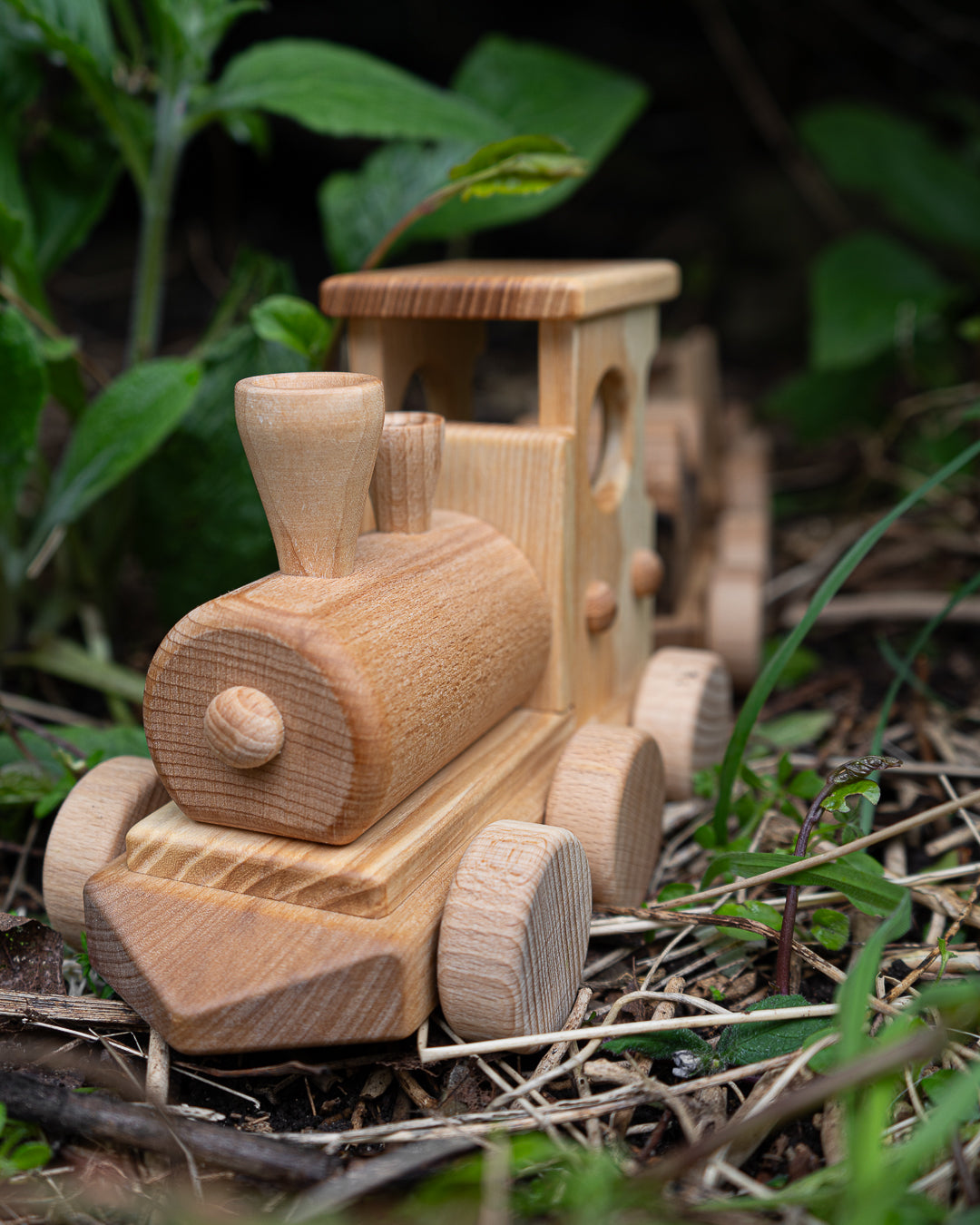 Classic Train and Wooden Building Blocks