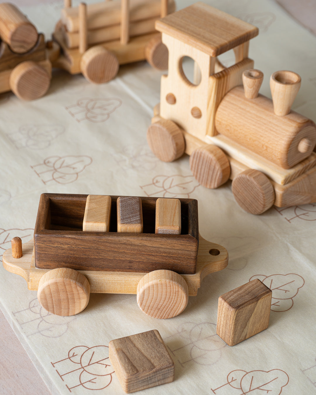 Classic Train and Wooden Building Blocks