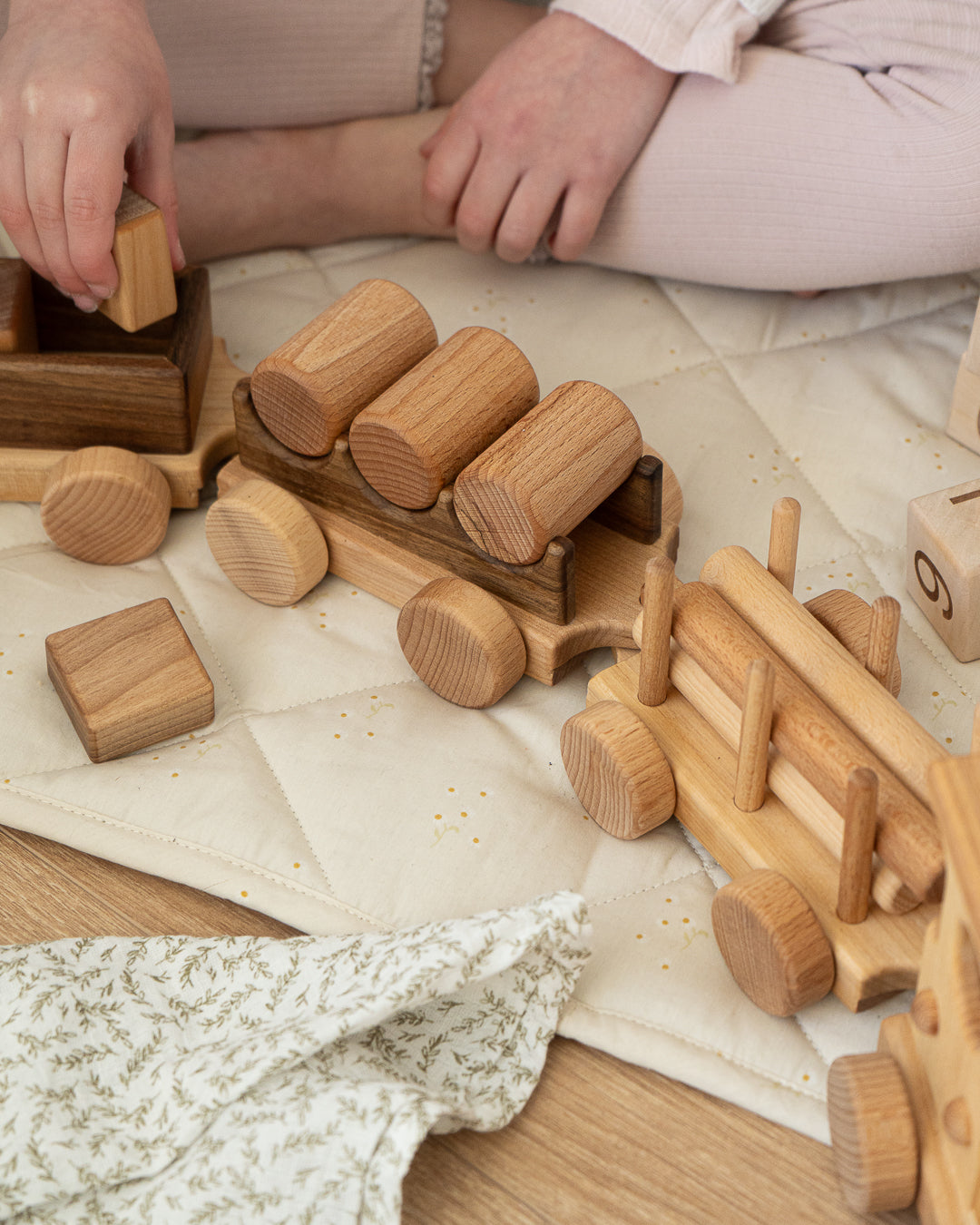 Classic Train and Wooden Building Blocks