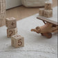 Wooden Play Aeroplane