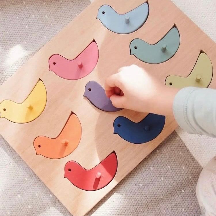 Colour Sorting Bird Peg Puzzle